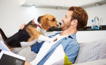 homme avec son chien